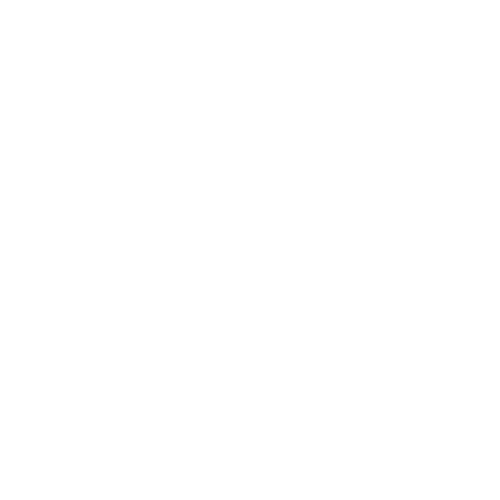 NINJA BEER